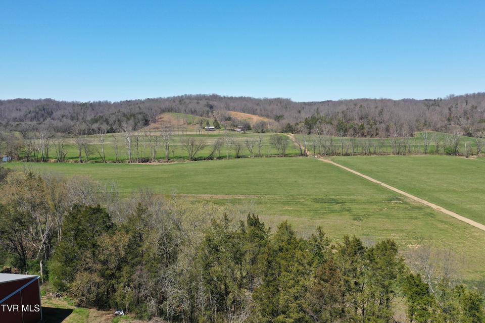 Photo #61: 12315 Warrensburg Road