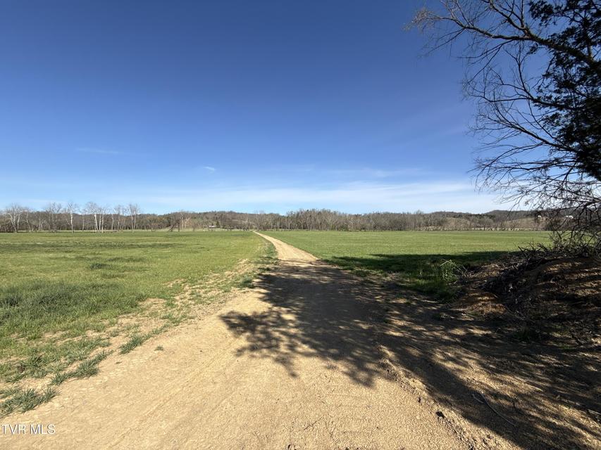 Photo #63: 12315 Warrensburg Road