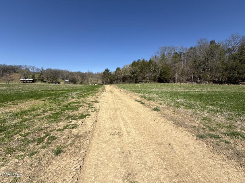 Photo #68: 12315 Warrensburg Road