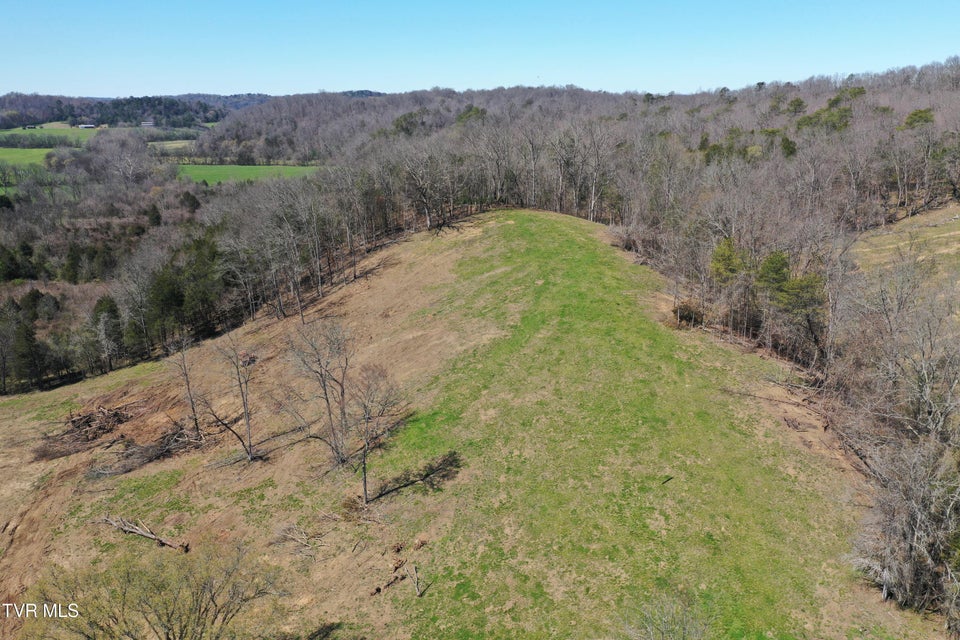 Photo #79: 12315 Warrensburg Road