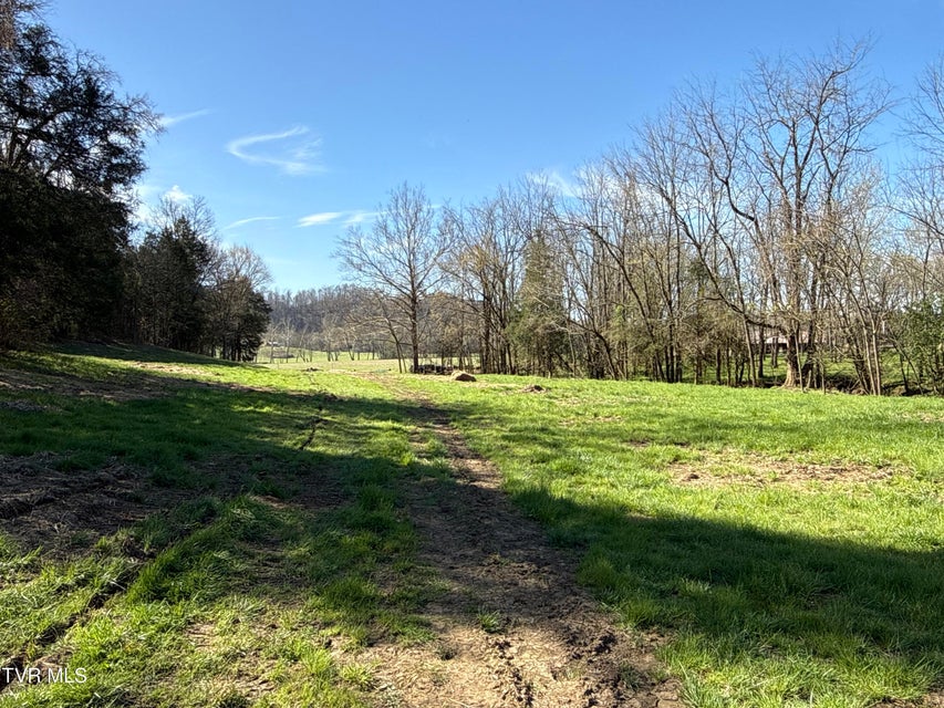 Photo #81: 12315 Warrensburg Road