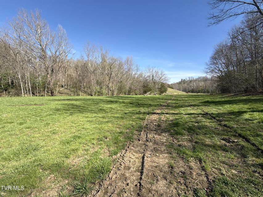 Photo #82: 12315 Warrensburg Road