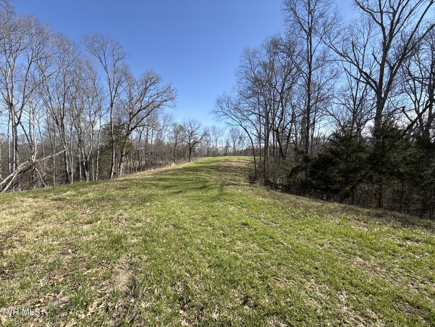 Photo #83: 12315 Warrensburg Road