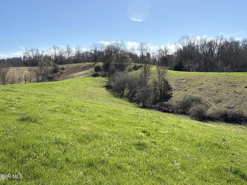 Photo #84: 12315 Warrensburg Road