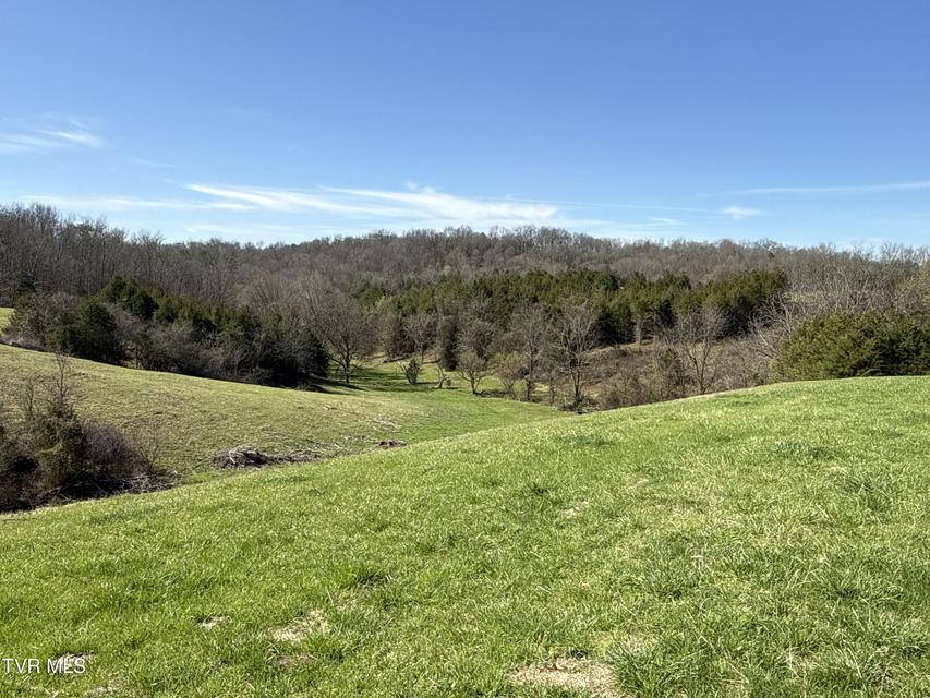 Photo #85: 12315 Warrensburg Road