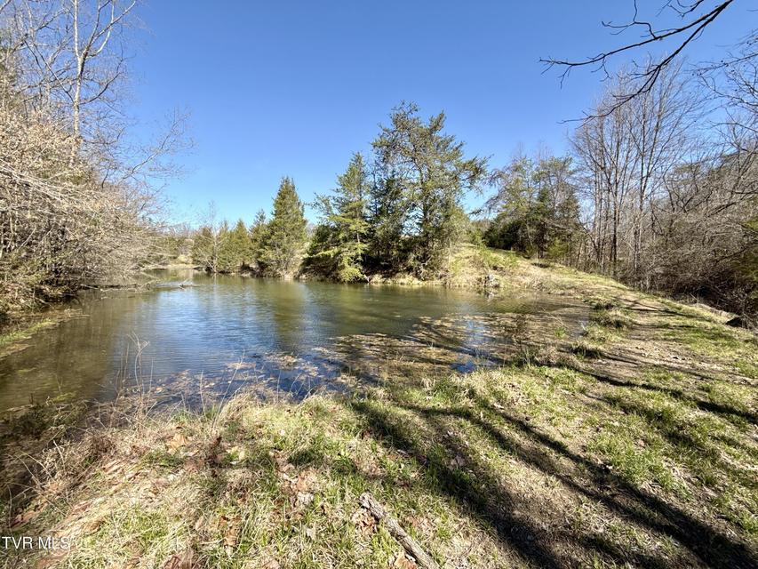 Photo #87: 12315 Warrensburg Road