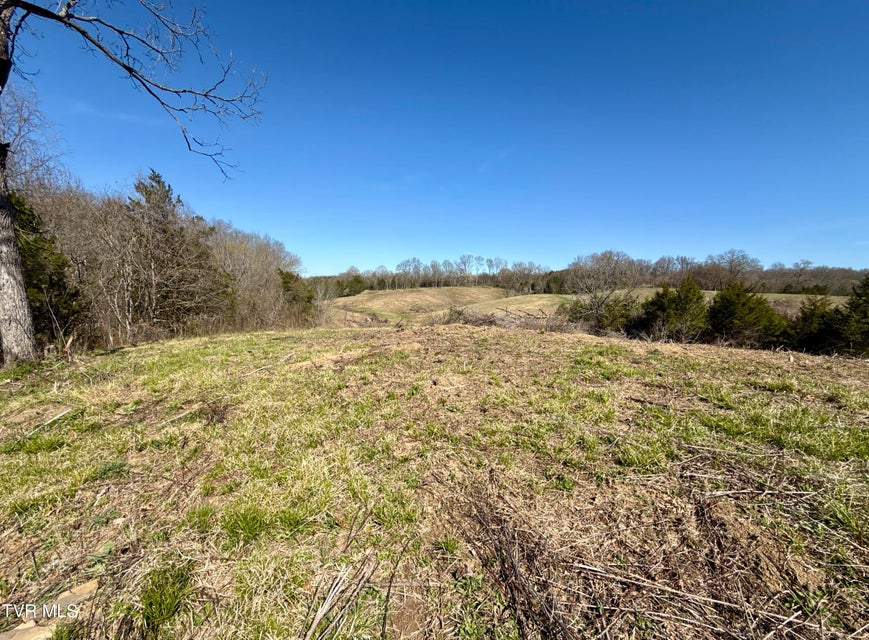 Photo #88: 12315 Warrensburg Road