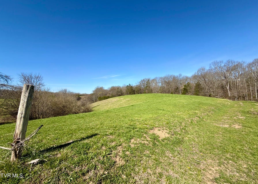 Photo #91: 12315 Warrensburg Road
