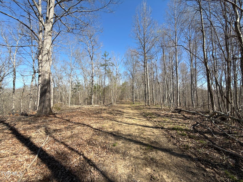 Photo #92: 12315 Warrensburg Road