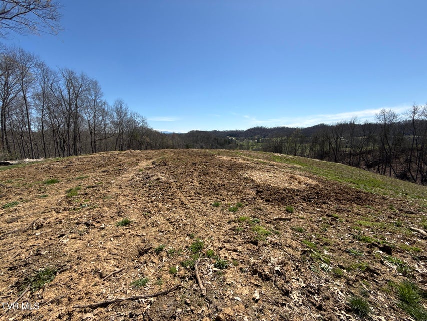 Photo #94: 12315 Warrensburg Road