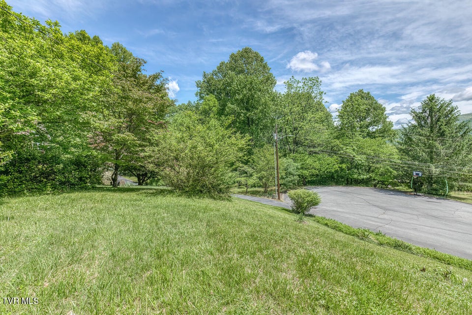 Photo #44: 5 Bingham Court