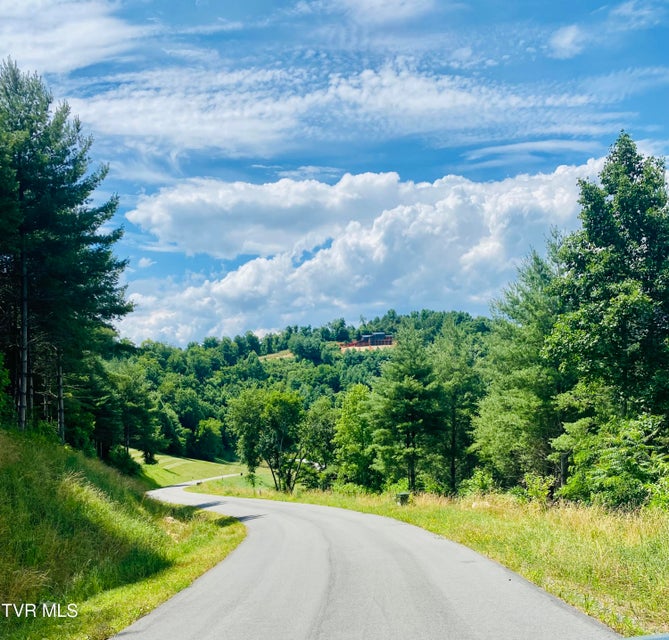 Photo #37: 23 Cowan Town Road