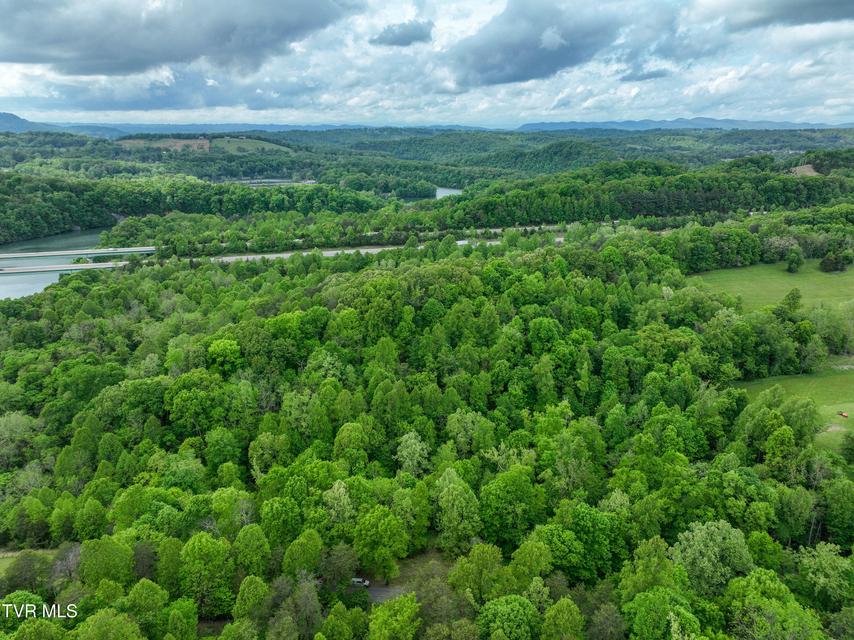 Photo #3: 660 Gottland Shoals Road