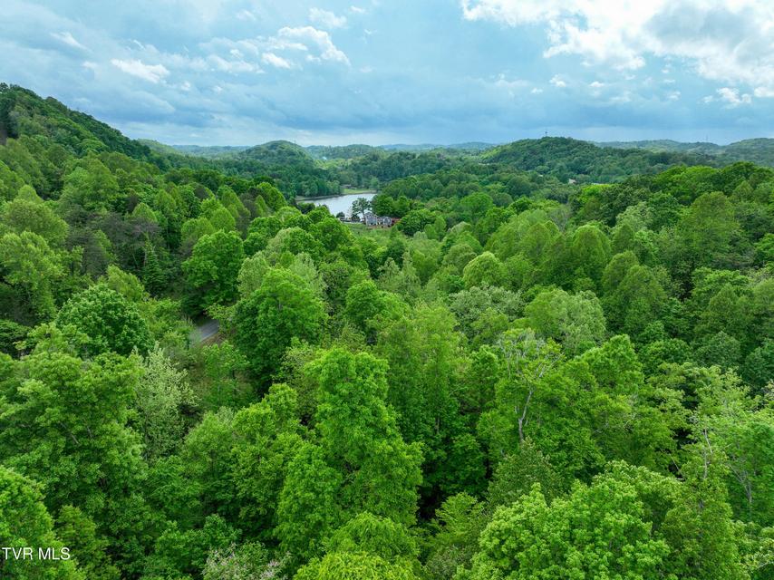 Photo #7: 660 Gottland Shoals Road