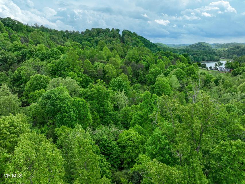 Photo #8: 660 Gottland Shoals Road