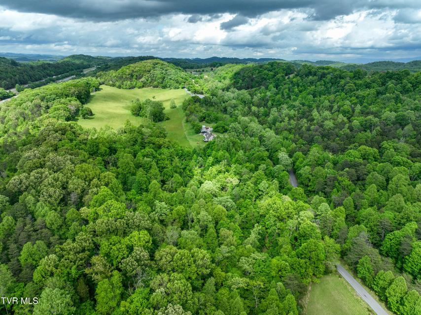 Photo #10: 660 Gottland Shoals Road