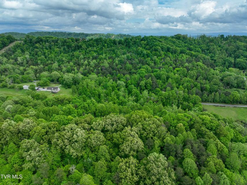 Photo #13: 660 Gottland Shoals Road