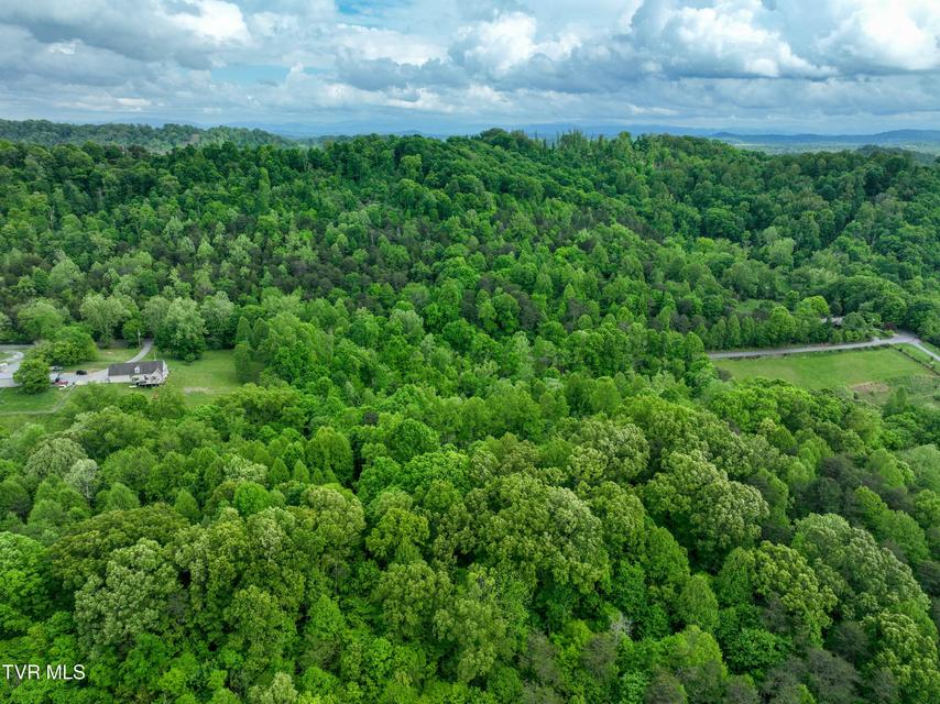 Photo #14: 660 Gottland Shoals Road