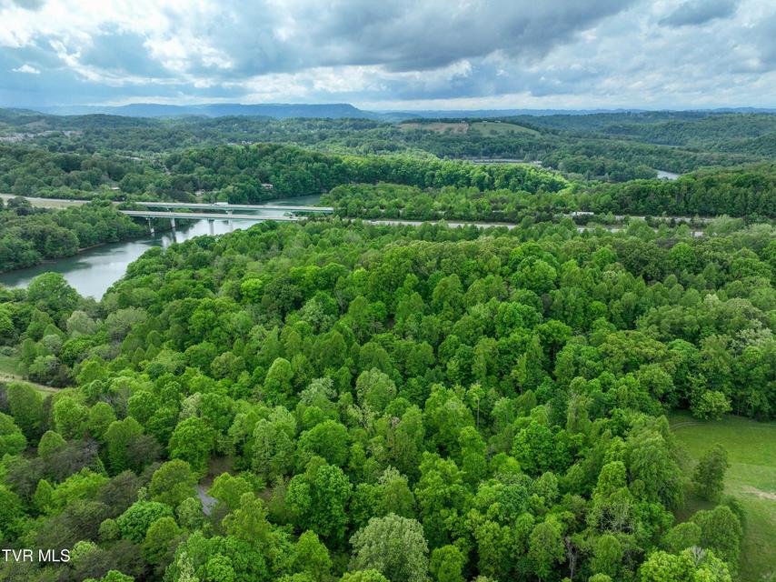 Photo #18: 660 Gottland Shoals Road