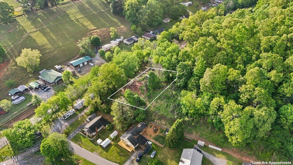 Photo #22: 112 Grant Parlier Road