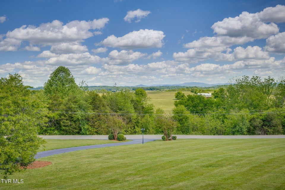 Photo #61: 516 Bowmantown Road
