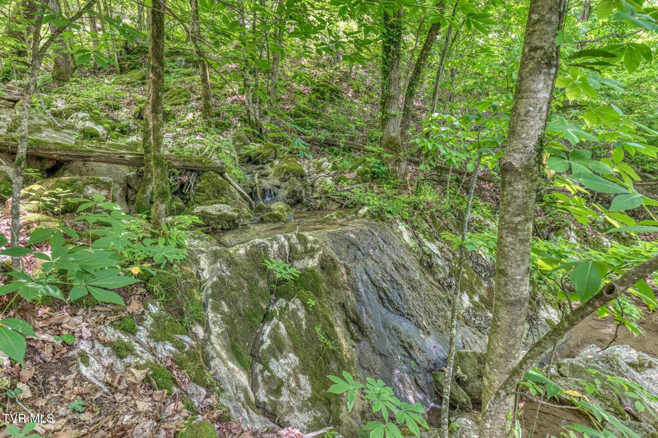 Photo #52: 231 Ollis Bowers Hill Road