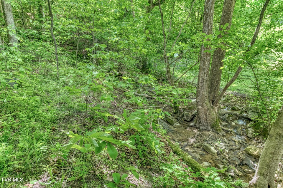 Photo #53: 231 Ollis Bowers Hill Road