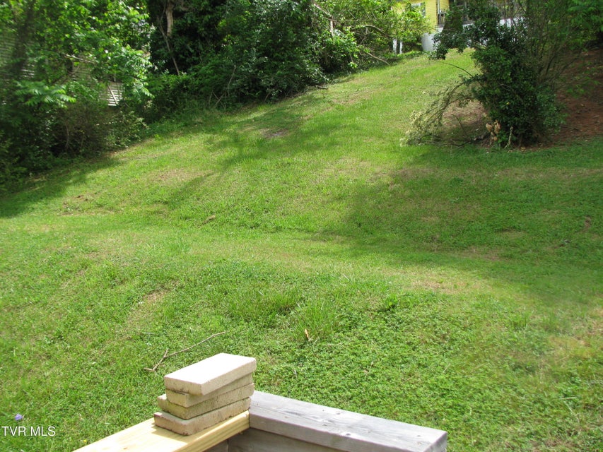 Photo #3: 407 Banks Street