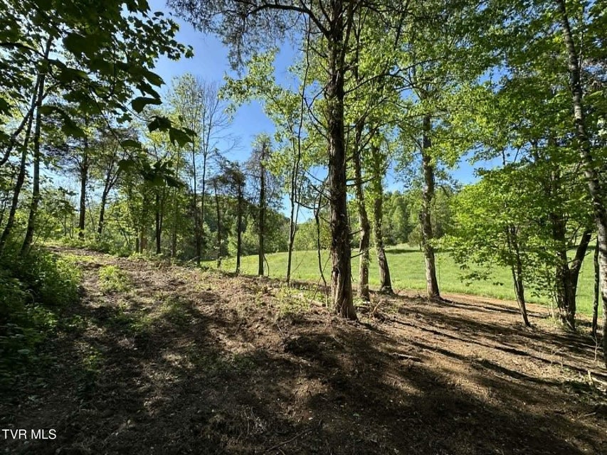 Photo #11: Tba Kingdom Rd 