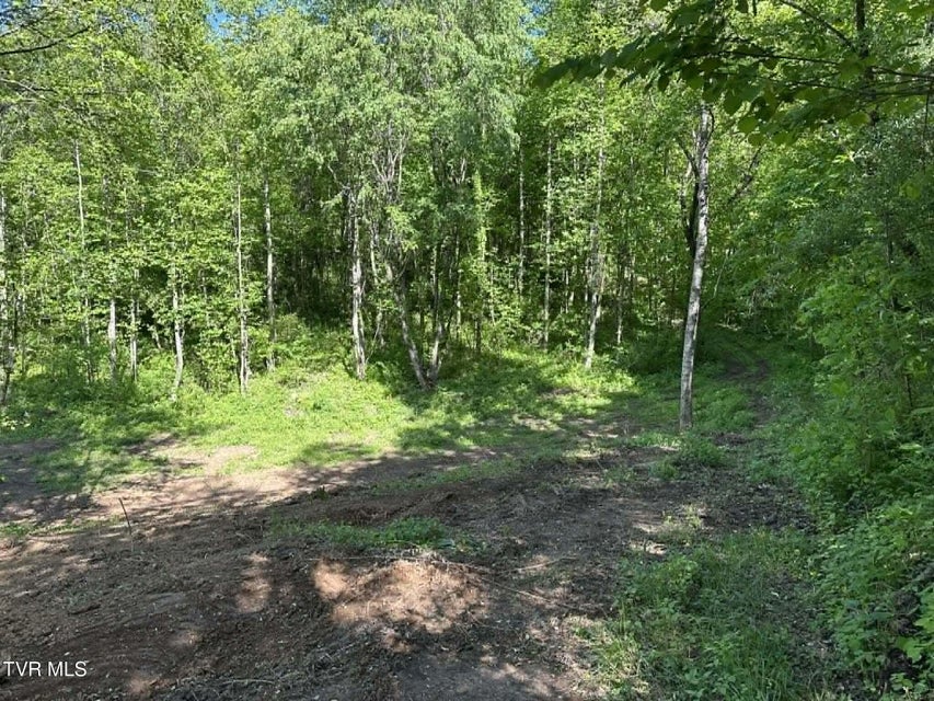 Photo #14: Tba Kingdom Rd 