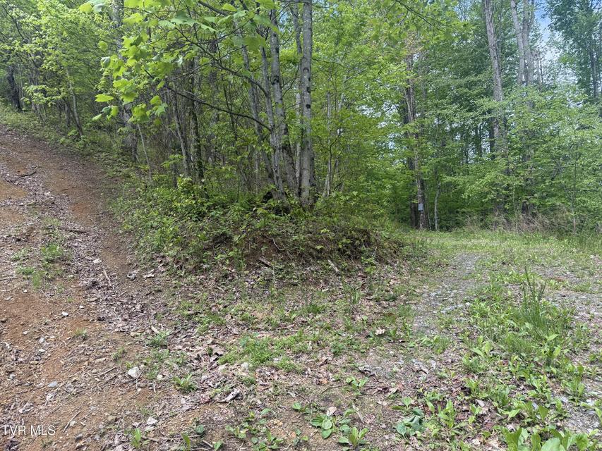 Photo #16: 174 Doty Road