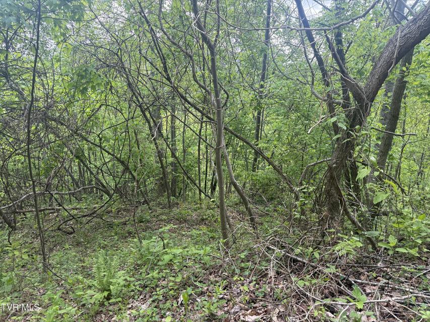 Photo #5: 174 Doty Road