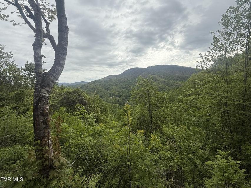 Photo #2: 174 Doty Road