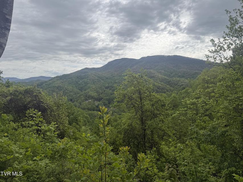 Photo #14: 174 Doty Road