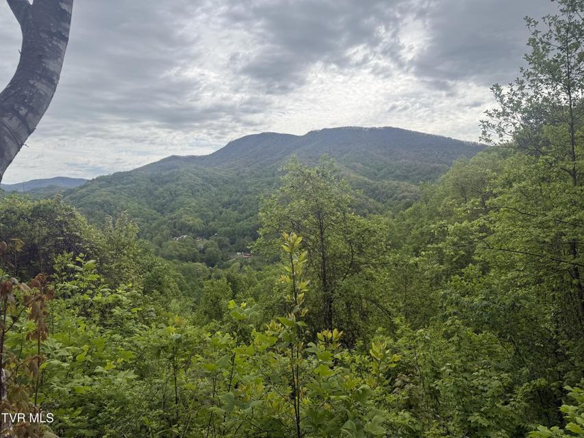 Photo #15: 174 Doty Road