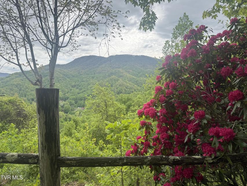 Photo #3: 174 Doty Road
