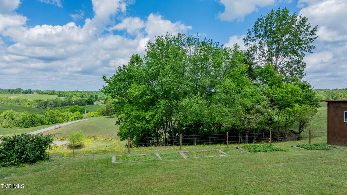 Photo #40: 902 Mill Road