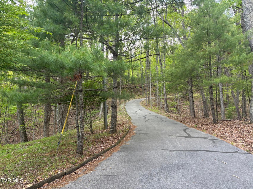 Photo #29: 240 Misty Lane