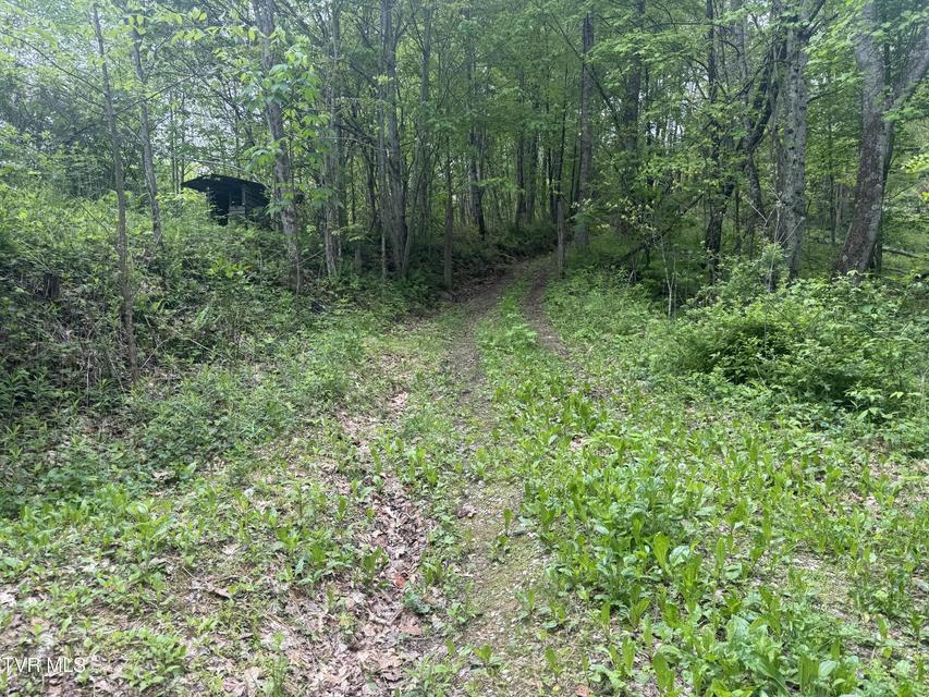 Photo #18: 174 Doty Road