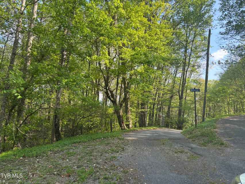 Photo #46: 240 Misty Lane
