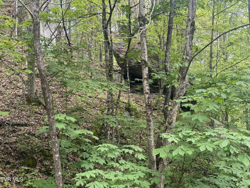 Photo #19: 174 Doty Road