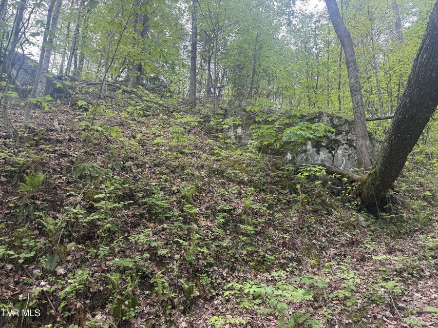 Photo #20: 174 Doty Road