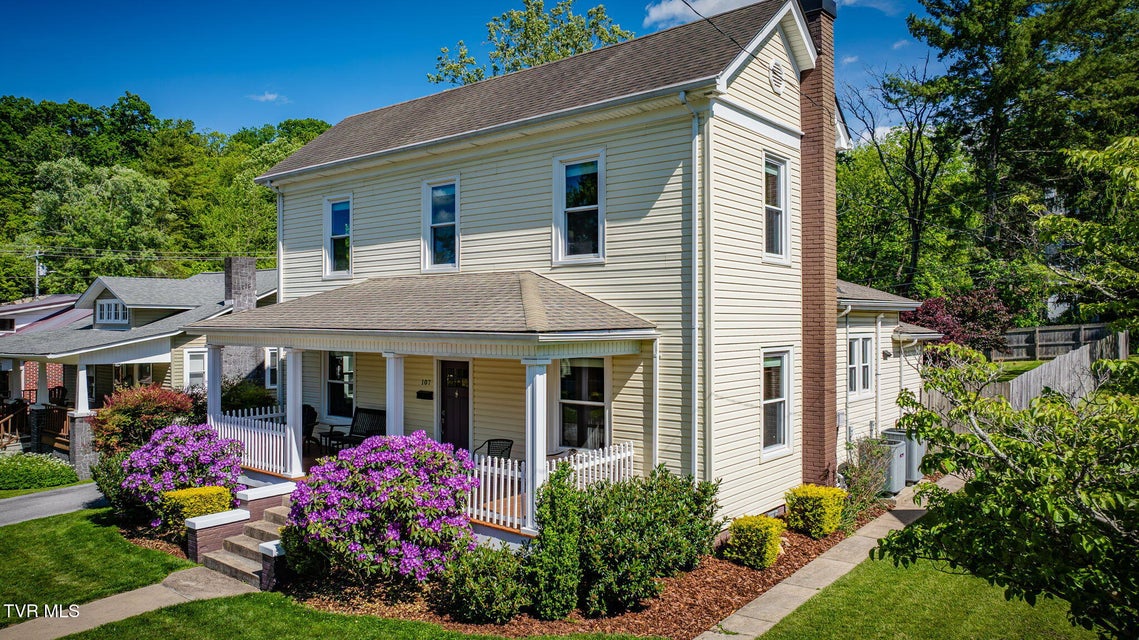 Photo #3: 107 Chestnut Street