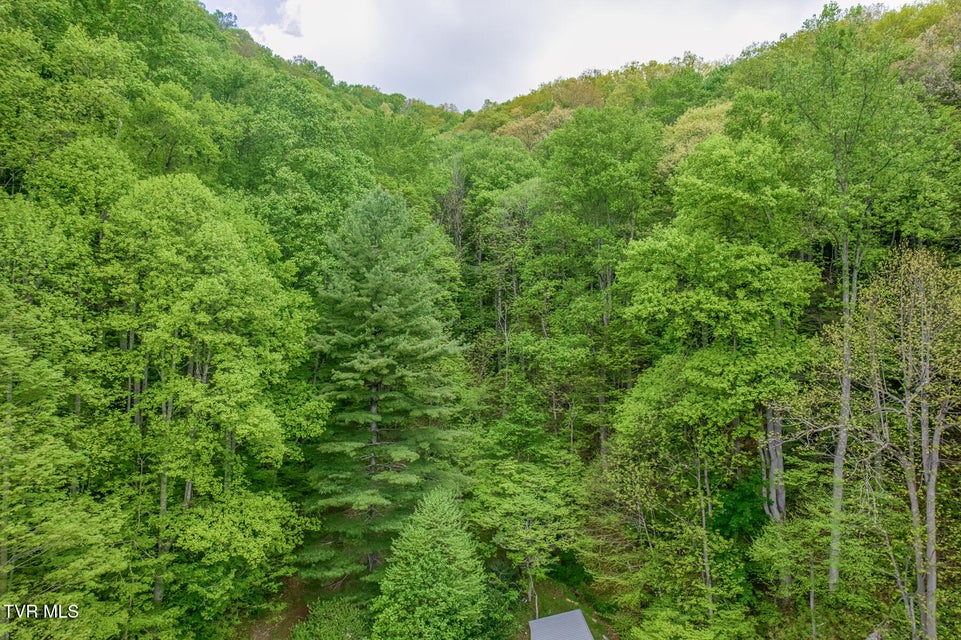 Photo #60: 126 Shadow Mountain Road