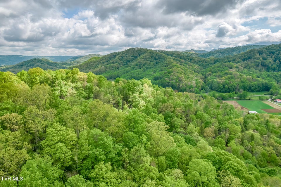 Photo #65: 126 Shadow Mountain Road