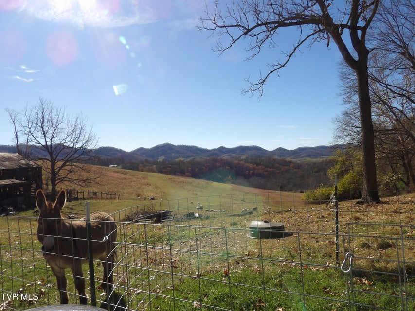 Photo #8: 107 Edgewood/Crusenberry Rd Road