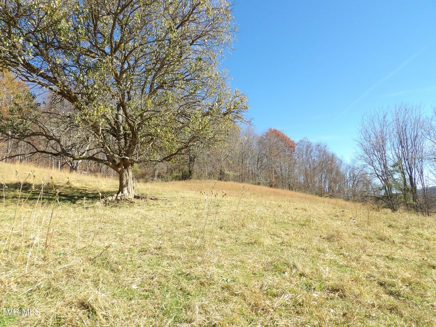 Photo #9: 107 Edgewood/Crusenberry Rd Road
