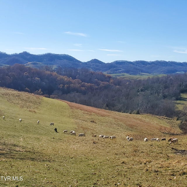 Photo #10: 107 Edgewood/Crusenberry Rd Road