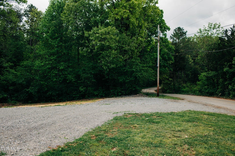 Photo #19: 613 Timber Ridge Road