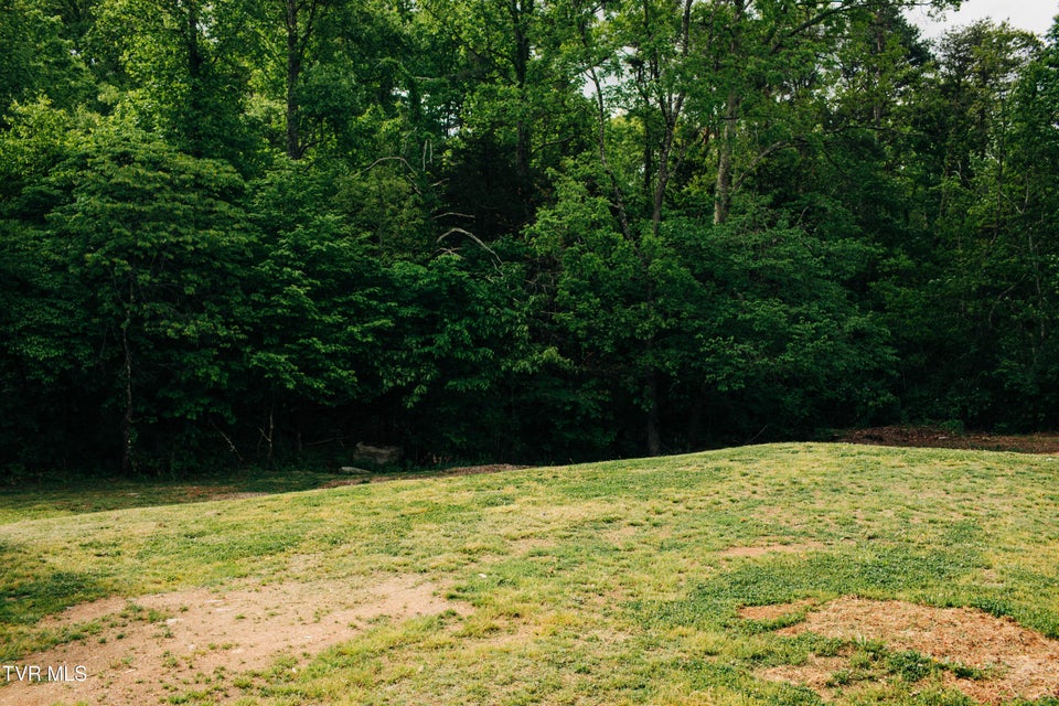 Photo #18: 613 Timber Ridge Road
